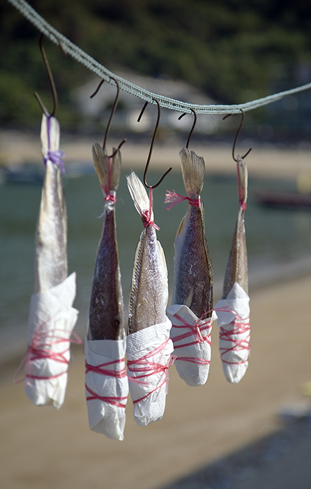 Drying Fish - (c) Solar Worlds Digital Photography