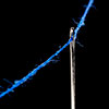 Thread & Needle - (c) Solar Worlds Digital Photography