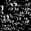 Water Droplets - (c) Solar Worlds Photography
